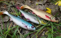 Trzy realistyczne przynęty wędkarskie w kształcie ryb leżące na trawie i liściach.