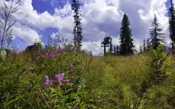 Butorowy Wierch Kościelisko: Pieszo na szczyt? Widoki lepsze niż z Gubałówki!