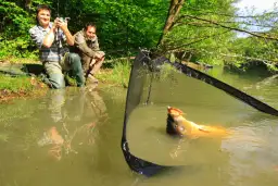 Wie fange ich am besten Karpfen? Effektive Tipps für deinen Erfolg