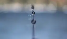 Die beste Angelschnur für Karpfen: So vermeiden Sie teure Fehler