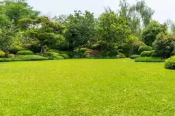 Kiedy nawozić trawnik na wiosnę? Uniknij błędów i ciesz się pięknym trawnikiem!