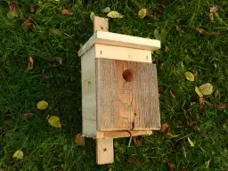 Jak łatwo zbudować domek dla ptaków DIY i cieszyć się naturą