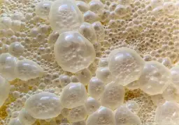 Jak długo krystalizuje się miód spadziowy? Odkryj zaskakujące fakty