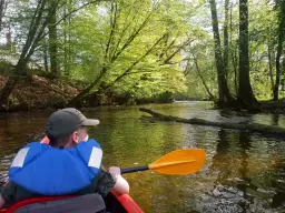 Spływ kajakowy Mrągowo - najlepsze trasy, ceny i rezerwacje