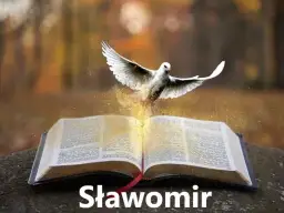 Św Sławomir patron czego – odkryj, kogo wspiera i w jakich dziedzinach