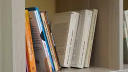 Gdzie oddać książki w Szczecinie? Zarób lub daj im drugie życie!