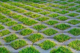 Jak zrobić podjazd z płyt ażurowych - uniknij najczęstszych błędów