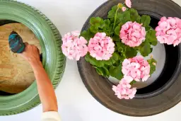 Prosty i tani kwietnik z opony - zrób go sam w jeden weekend