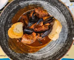 Stuzzicheria di Mare: Freschezza, Sapori Gourmet e il Format Vincente