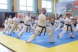 Grupa osób w kimonach ćwiczy karate na niebiesko-żółtej macie w sali gimnastycznej.