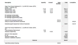 Pasek z wypłaty: Wyjaśnienie skrótów, jak sprawdzić paski zarobkowe i inne kluczowe informacje
