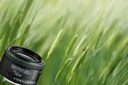 Najlepsze obiektywy do Pentaxa K-50, które poprawią Twoje zdjęcia