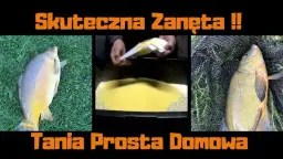 Domowa i gotowa zanęta na karasia: przepisy i sekrety sukcesu