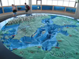 Oceanarium Gdynia - co warto zobaczyć, godziny otwarcia i ceny biletów