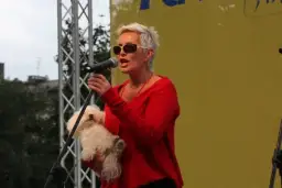 Kto śpiewa oprócz błękitnego nieba? Znani wykonawcy i ich wersje