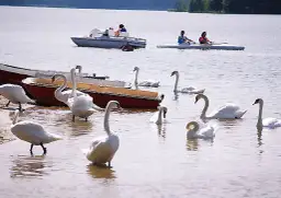 Jezioro Blizno Kujawsko Pomorskie - raj dla wędkarzy i turystów