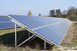 Duża instalacja PV na polu, panele słoneczne ustawione pod kątem, w tle drzewa i błękitne niebo.