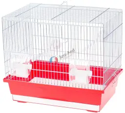 Ile kosztuje klatka dla kanarka? Ceny, które mogą Cię zaskoczyć