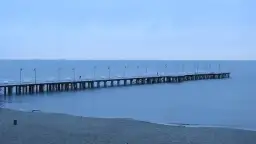 "Żółte kalendarze": Czy znasz morza brzeg? Tekst, historia, symbolika