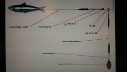 Jak uzbroić martwą rybkę na sandacza, aby nie stracić ryby