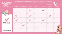 800 plus: Zasady, terminy i czy będzie waloryzacja?