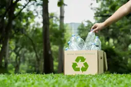 Co to recykling? Poznaj proces, rodzaje i korzyści dla planety