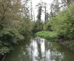 Nad jaką rzeką leży Lublin? Odkryj tajemnice Bystrzycy