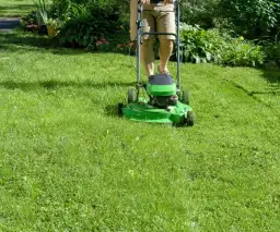 Czy można kosić mokrą trawę kosiarką spalinową? Ryzyko i skutki