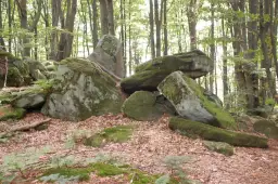 Rezerwat przyrody Kornuty: Odkryj unikalne skały i florę Beskidu Niskiego