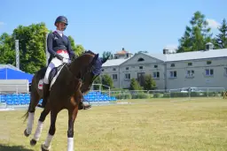 Ujeżdżenie fundament jeździectwa - klucz do lepszej komunikacji z koniem