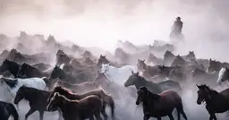 Jak wypada nowy film akcji Flash z 2023 roku?