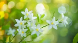 Jak wygląda jaśmin? Opis oraz cechy charakterystyczne rośliny