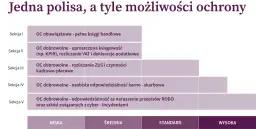 Tabela przedstawia różne rodzaje OC w pracy: obowiązkowe, dobrowolne (księgowość, kadry, odpowiedzialność karna-skarbowa, RODO, cyber-incydenty) oraz poziomy ochrony (niska, średnia, standard, wysoka).
