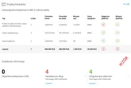 Raport BIK: Co zawiera i jak go czytać? Ekspert wyjaśnia krok po kroku