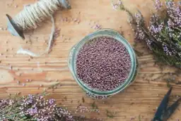 Kwiat jak przyprawa: odkryj niezwykłe smaki jadalnych kwiatów