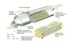 Jaki olej do diesla z DPF forum - uniknij problemów z filtrem