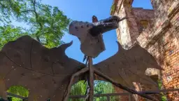 Najlepsze atrakcje w Nowym Żmigrodzie, które musisz zobaczyć