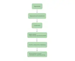 Znaczenie i zastosowanie jakiegoś tekstu - analiza kontekstów