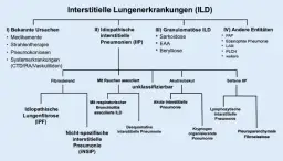 Lungenerkrankungen diagnostik: Wichtige Verfahren zur Früherkennung