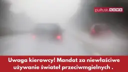 Tylne światła przeciwmgłowe: Kiedy włączyć, by nie dostać mandatu?