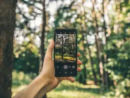 Telefon w lesie: Jak się nie zgubić i wrócić bezpiecznie?