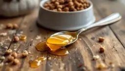 Czy pies może jeść miód? Dowiedz się, co mówią weterynarze