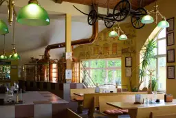 Harrachov gdzie zjeść: najlepsze restauracje i lokalne smaki