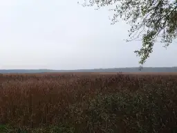 Rezerwat przyrody Piskory: odkryj niezwykłe ptaki i ekosystemy