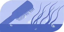 Jak skutecznie umyć szczotki do włosów? Pełny poradnik!