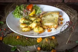 Frombork: Gdzie zjeść? Ryby, karmuszka i najlepsze widoki!