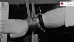 Eksperyment Milgrama: Dlaczego posłuszni ludzie krzywdzą innych?