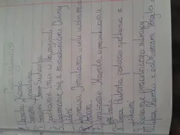 Tematy wypracowań do lektury Bracia Lwie Serce, które zaskoczą nauczycieli