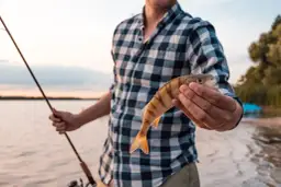 Jaka wędka na spławik? Wybierz idealną na udane połowy!