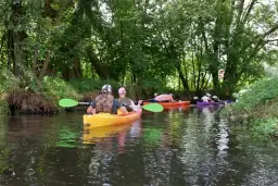 Spływ kajakowy Rzeszów: Trasy, ceny i porady na Wisłoku